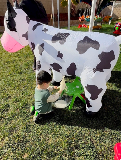 Child playing with inflatable cow at Fairy Tale Child Care